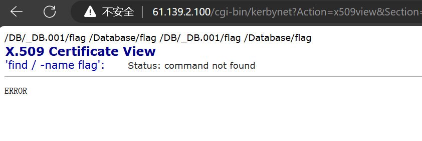 image-20241215125126387