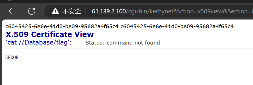image-20241215125148936
